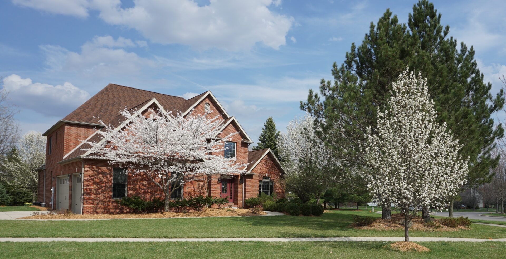 705 Meadowview Spring pictures (1)